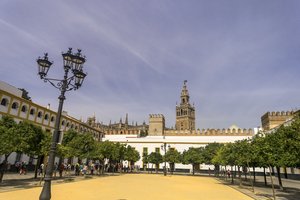 comp_SAM_1003.jpg comp_SAM_1003.jpg