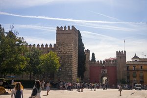 comp_SAM_0976.jpg comp_SAM_0976.jpg