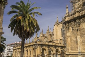 comp_SAM_0979.jpg comp_SAM_0979.jpg