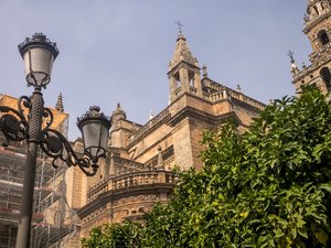 comp_SAM_1014.jpg comp_SAM_1014.jpg