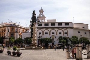 comp_SAM_1031.jpg comp_SAM_1031.jpg