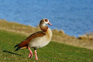 K1600_DSC09310 (2).JPG