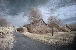 comp_BIMG_8990++.jpg comp_BIMG_8990++.jpg