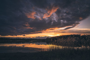 _DSC5131-Bearbeitet Kopie.jpg