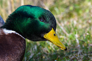 ExLR DSC_1808.jpg ExLR DSC_1808.jpg