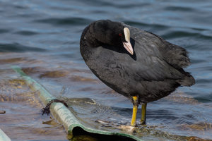 ExLR DSC_1819.jpg ExLR DSC_1819.jpg