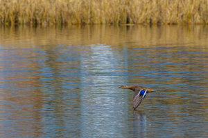 ExLR DSC_1821.jpg ExLR DSC_1821.jpg