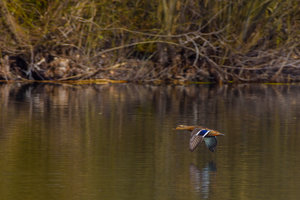 ExLR DSC_1823.jpg ExLR DSC_1823.jpg