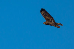 ExLR DSC_1913.jpg ExLR DSC_1913.jpg