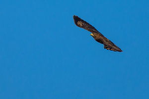 ExLR DSC_1908.jpg ExLR DSC_1908.jpg