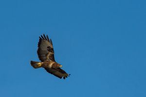 ExLR DSC_1910.jpg ExLR DSC_1910.jpg