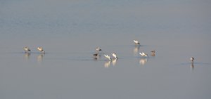 Compressed_0358.jpg Compressed_0358.jpg