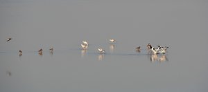 Compressed_0360.jpg Compressed_0360.jpg