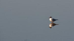 Compressed_0359.jpg Compressed_0359.jpg