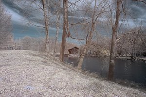 comp_BIMG_9049.jpg comp_BIMG_9049.jpg