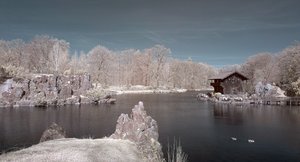 comp_BIMG_9056.jpg comp_BIMG_9056.jpg