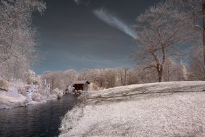 comp_BIMG_9070.jpg comp_BIMG_9070.jpg