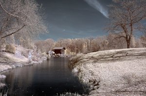 comp_BIMG_9081.jpg comp_BIMG_9081.jpg