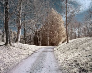 comp_BIMG_9068.jpg comp_BIMG_9068.jpg