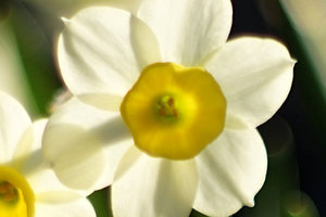 Jupiter9 100%-Crop.jpg