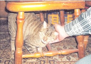 5Mick-Erstkontakt.jpg 5Mick-Erstkontakt.jpg