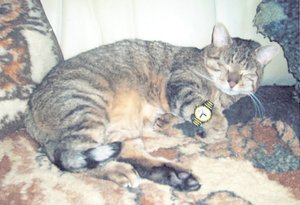 6Mick-Uhr.jpg 6Mick-Uhr.jpg