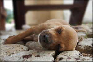 032 Sancti Spiritus.jpg