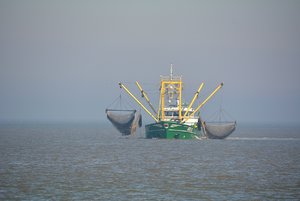 Compressed_0379.jpg Compressed_0379.jpg