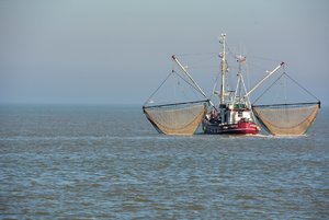 Compressed_0380.jpg Compressed_0380.jpg