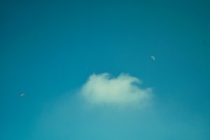 Forum SDIM1520 SD14 + Zenitar M2s 2,0 50mm©PPf.jpg