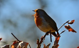 Compressed_0396.jpg Compressed_0396.jpg