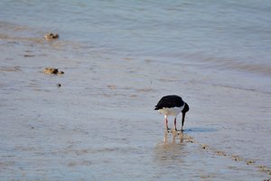 Compressed_0398.jpg Compressed_0398.jpg