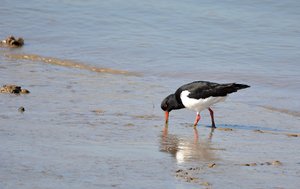 Compressed_0399.jpg Compressed_0399.jpg