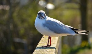 Compressed_0400.jpg Compressed_0400.jpg