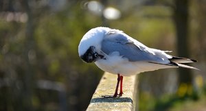 Compressed_0401.jpg Compressed_0401.jpg