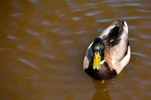 Compressed_0404.jpg Compressed_0404.jpg