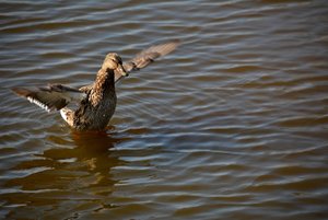 Compressed_0402.jpg Compressed_0402.jpg