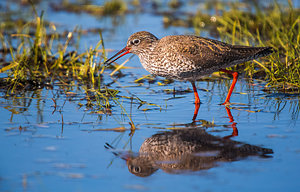 _Y0A0638 TOP-Bearbeitet-Bearbeitet-2.JPG _Y0A0638 TOP-Bearbeitet-Bearbeitet-2.JPG