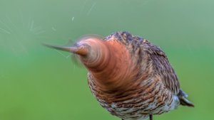 13248558_243223986043834_3886282490273774891_o.jpg 13248558_243223986043834_3886282490273774891_o.jpg