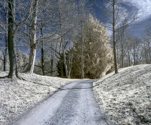 comp_BIMG_9068++.jpg comp_BIMG_9068++.jpg