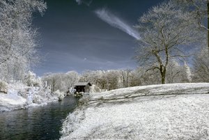 comp_BIMG_9070++++.jpg comp_BIMG_9070++++.jpg