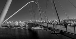 comp_BIMG_9340sw.jpg comp_BIMG_9340sw.jpg