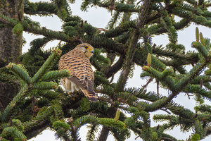 ExLR DSC_2910-Bearbeitet.jpg