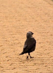 comp_Harle 25Harlesiel.jpg