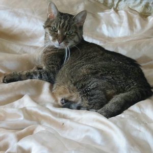 comp_comp_IMG_9408.jpg comp_comp_IMG_9408.jpg