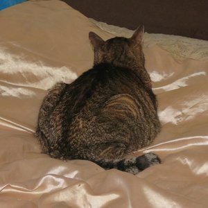 comp_comp_IMG_9421.jpg comp_comp_IMG_9421.jpg