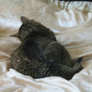 comp_comp_IMG_9410.jpg comp_comp_IMG_9410.jpg