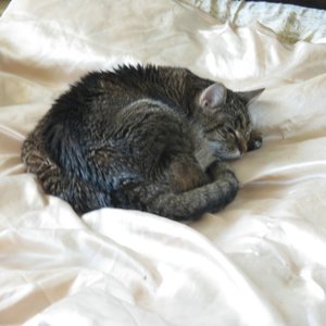 comp_comp_IMG_9417.jpg comp_comp_IMG_9417.jpg