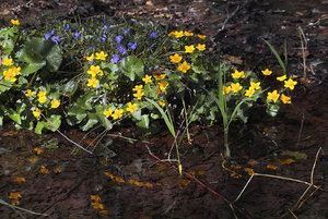 201703311-IMG00750-BF.jpg 201703311-IMG00750-BF.jpg