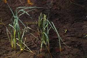 201703311-IMG00751-BF.jpg 201703311-IMG00751-BF.jpg